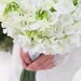 Zita Else Flowers