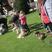 12. Dunstable Town Fayre 
