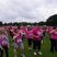 69. RFL Southampton - The Warm Up 56