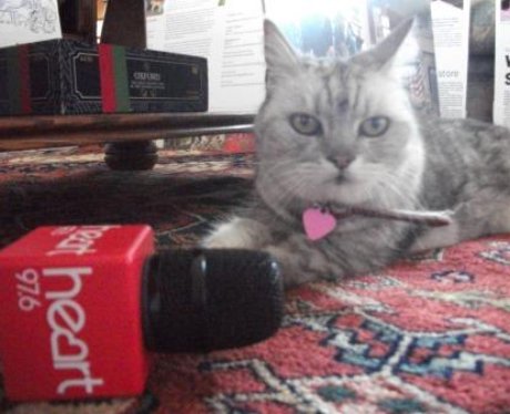 Loud purring Loud purring
