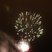 22. Harlow Fireworks 68