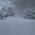 68. Winter Wonderland