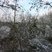 6. Your snowy pics