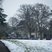 26. Your snowy pics