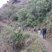 7. Trekking the Himalayas HAH