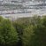 34. Olympic Torch in Devon 