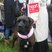 46. Race for Life Ardingly 