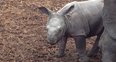 Whipsnade Zoo's 2013 Stocktake