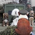 Weird And Wonderful Pictures Of The Week