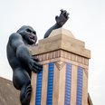 GoGo Gorillas Launch Event Norwich King Kong