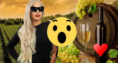 Lady gaga wines