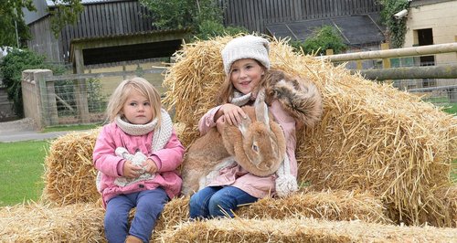Rare Breeds Centre
